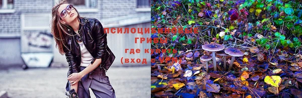 амф Янаул