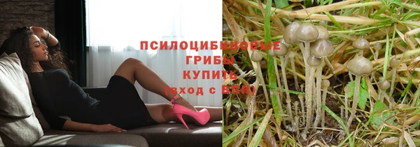 дмт Верхний Тагил