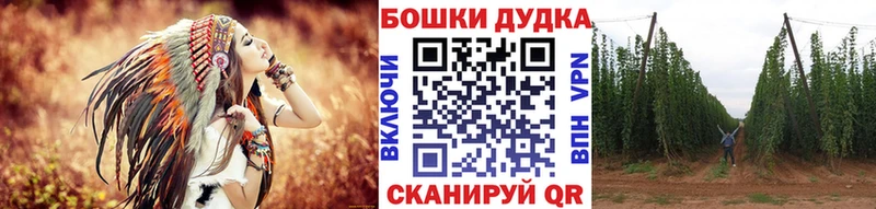 Бошки марихуана план  Северск 